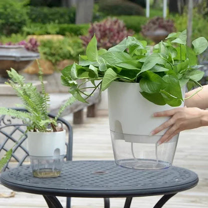 Self-Watering Hydroponics Planter