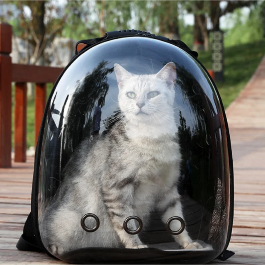 Transparent Cat Backpack Carrier