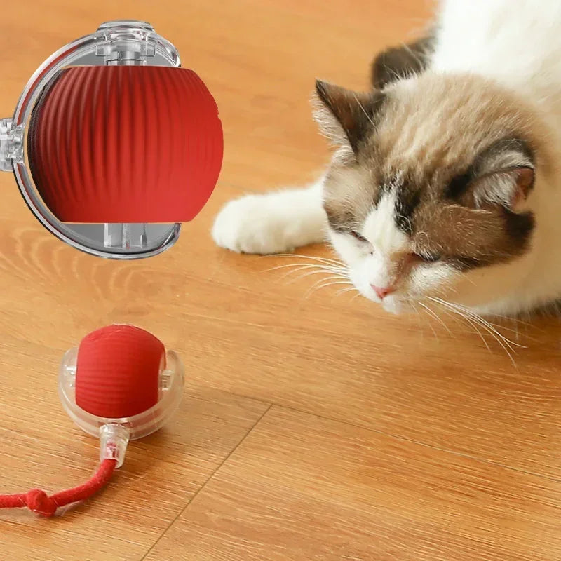 Automatic Rolling Cat Toy