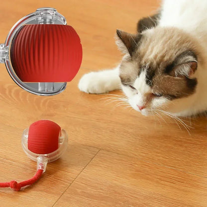 Automatic Rolling Cat Toy