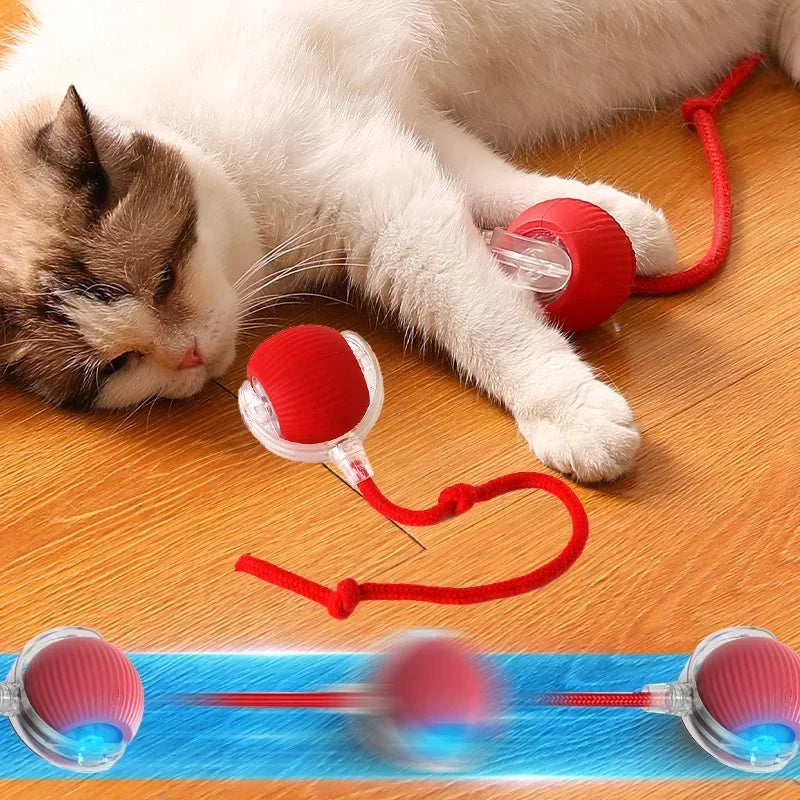 Automatic Rolling Cat Toy